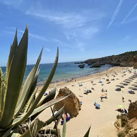 Captivating 1-Bed Apartment In Portimao-Beach * Portimão